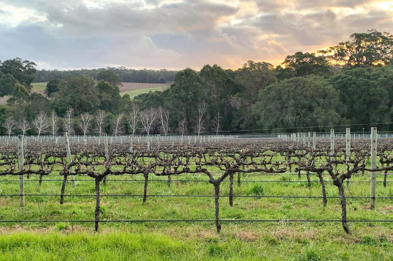 Ruse Estate Retreat Margaret River Rosa Glen Buitenkant foto